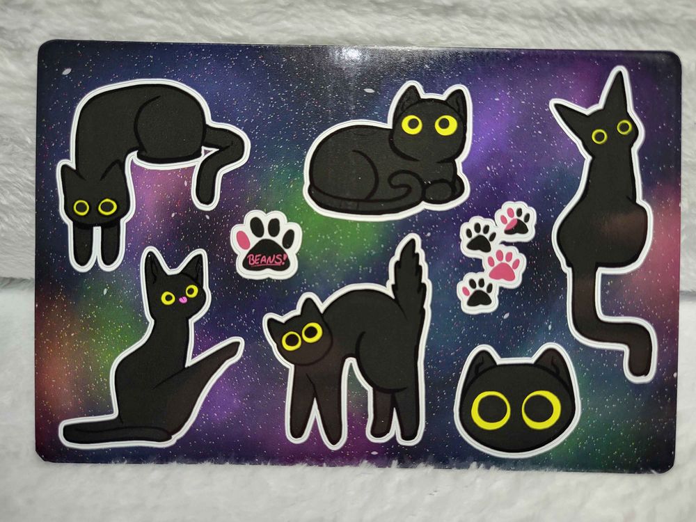 Space cats
